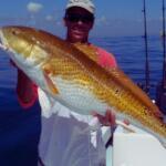 Florida East Coast Fishing Report Today 🎣