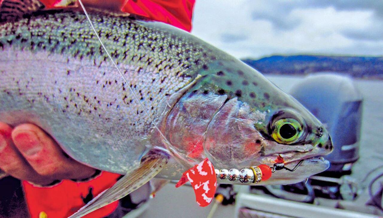 Washington Lakes fishing Report Today