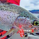 Washington Lakes Fishing Report Today 🎣