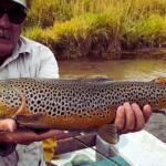 Arizona AZ Fishing Report Today 🎣