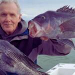 Connecticut Saltwater – Mouth of the Connecticut River Fishing Report Today 🎣