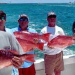 Destin Fishing Report Today 🎣