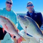 Key Largo Fishing Report Today 🎣