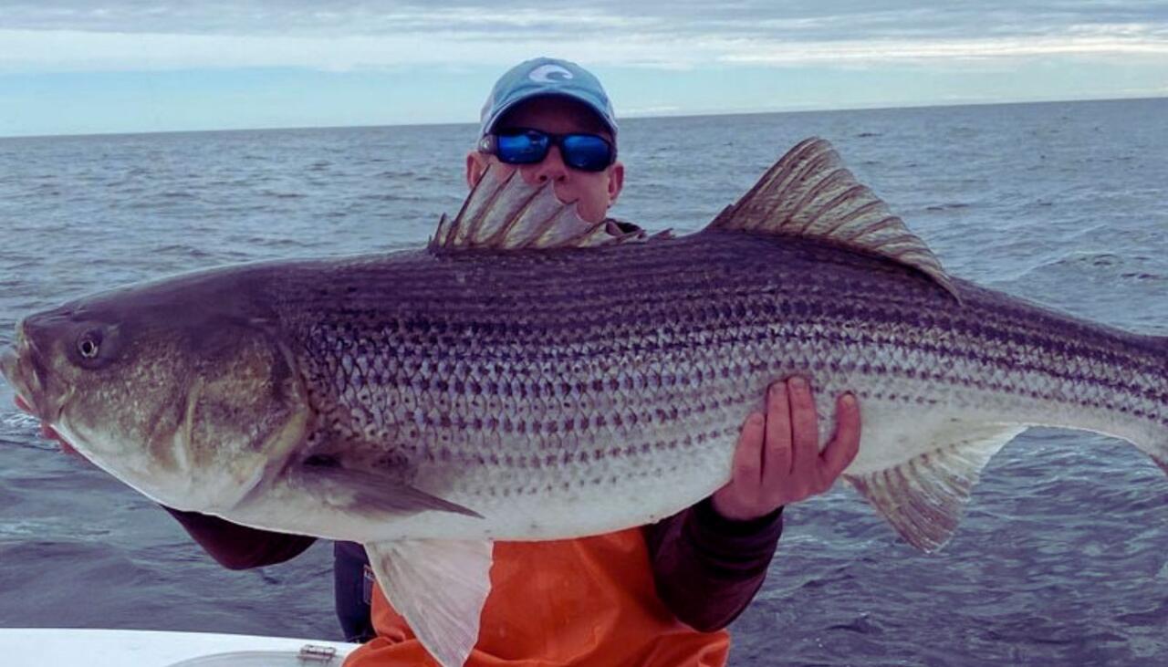nj saltwater fishing Report Today