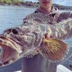 Puget Sound Fishing Report Today π£