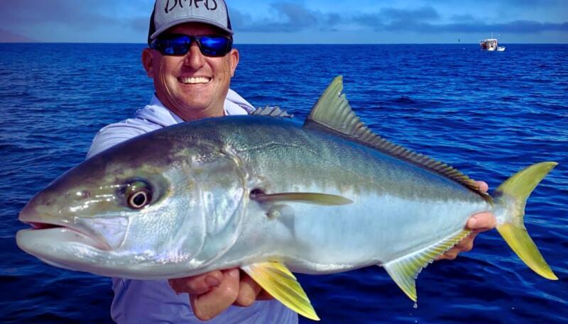 Sydney Fishing Report Today 🎣