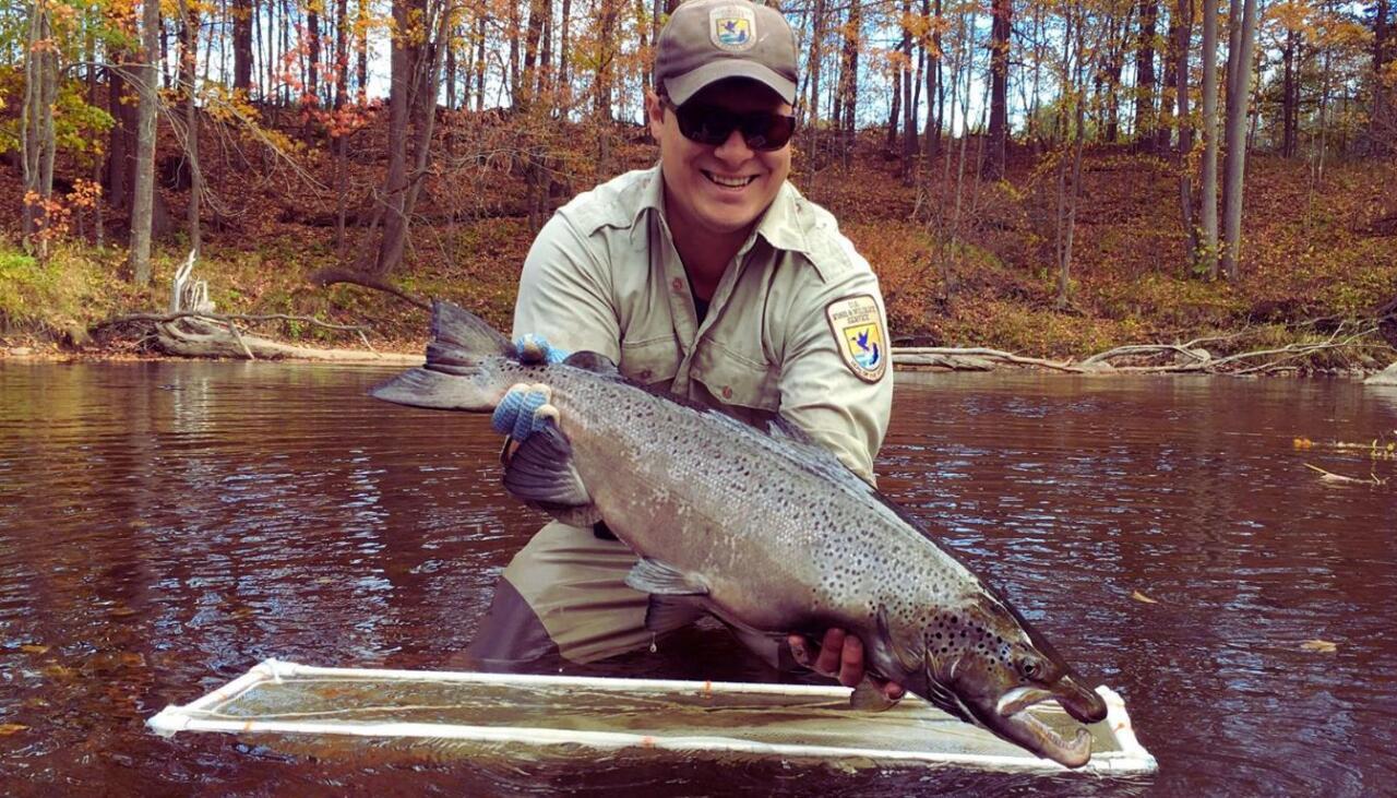 vermont fishing Report Today