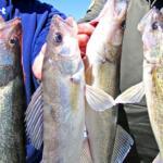 Aurora Reservoir Fishing Report Today ๐ฃ
