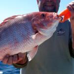 Cape Canaveral Fishing Report Today 🎣