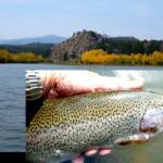 Red Feather Lakes Fishing Report Today π£