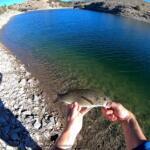 Starvation Resivoir Fishing Report Today π£