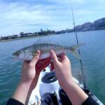 West Lake Fishing Report Today 🎣