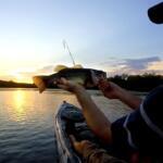 Westbrook Fishing Report Today 🎣