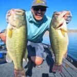 Alamo Fishing Report Today π£