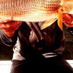 Apollo Beach Fishing Report Today 🎣