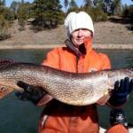 Fool Hollow Lake Fishing Report Today π£