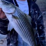 Goldwater Lake Fishing Report Today π£