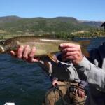 Grand Lake, Colorado Fishing Report Today π£