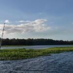 Interlachen Florida Fishing Report Today 🎣