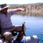 Lake Pleasant, Phoenix Fishing Report Today π£