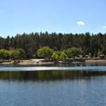 Lynx Lake Fishing Report Today π£
