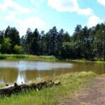 Mingus Lake, AZ Fishing Report Today π£