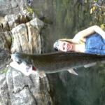 Oak Creek Fishing Report Today 🎣