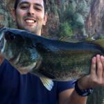Saguaro Lake Fishing Report Today π£