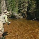 St Vrain State Park, Colorado Fishing Report Today 🎣