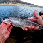 Taryall Reservoir, Colorado Fishing Report Today π£