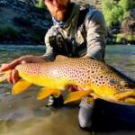 Truckee River, NV Fishing Report Today π£