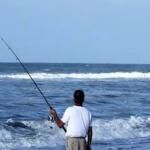 Corolla Fishing Report Today 🎣