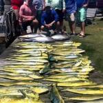 Oregon Inlet Fishing Report Today 🎣