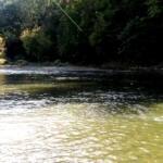 Rocky River Fishing Report Today 🎣