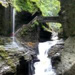 Watkins Glen State Park Fishing Report Today ๐ฃ