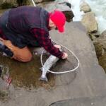 Ashtabula, Ohio Fishing Report Today 🎣