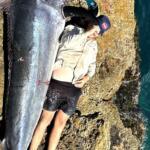 Jervis Bay Fishing Report Today 🎣