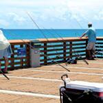 Forster Fishing Report Today 🎣