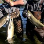 Platt Lake Fishing Report Today 🎣