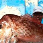 Port Phillip Fishing Report Today π£