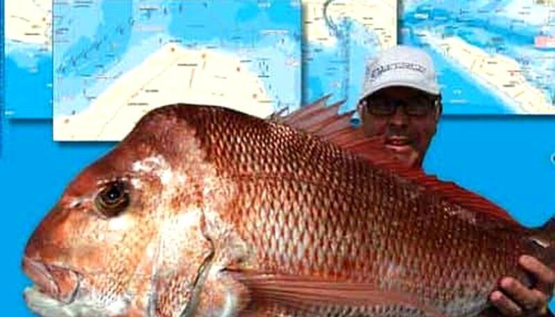 Port Phillip Fishing Report Today 🎣