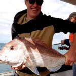 Queenscliff, Bellarine Peninsula Fishing Report Today π£