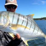 Tin Can Bay Fishing Report Today π£