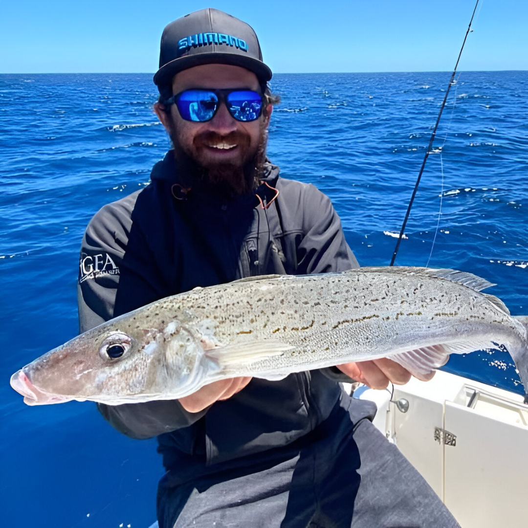 How to Catch King George Whiting: Complete Guide to Techniques, Gear, and Locations