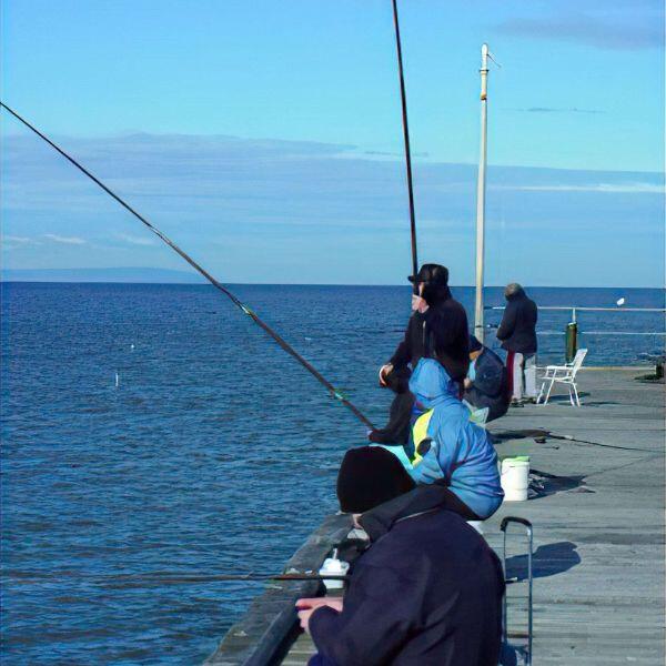 How to Catch Garfish: Complete Guide to Techniques, Gear, and Locations