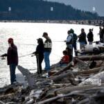 Admiralty Inlet Fishing Report Today 🎣