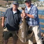 Avila Beach Fishing Report Today π£