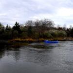 Branford River Fishing Report Today 🎣