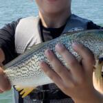 Cape May Fishing Report Today π£