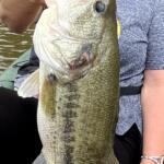 Dekalb, Texas Fishing Report Today π£